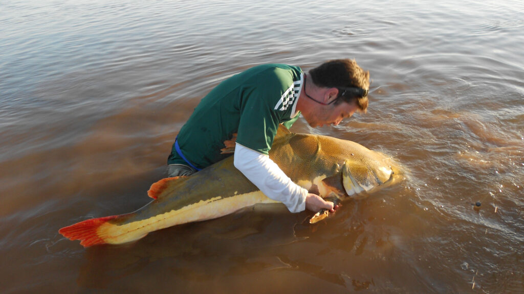O guia completo para uma pescaria de sucesso no rio Araguaia